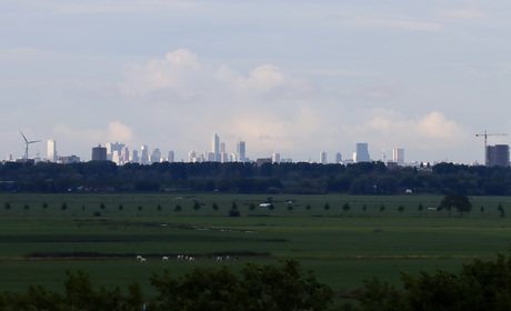 Zonnig Rotterdam
