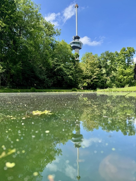 Euromast