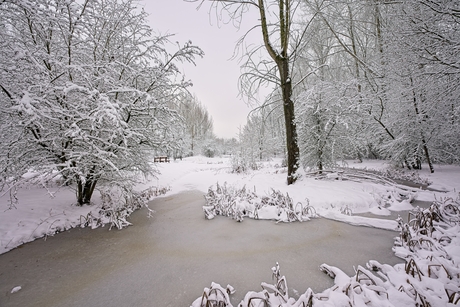 Winterlandschap