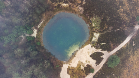 Bosmeertje vanuit de lucht