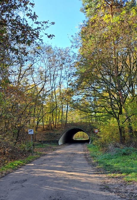 Weer een prachtige herfstdag