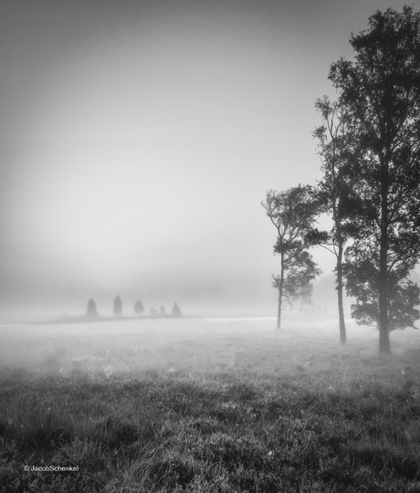Heideveld Balloerveld Gasteren