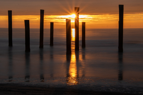 Palendorp Petten