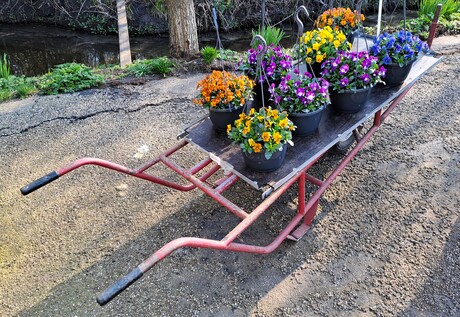 20260304  144158  Lentegevoel Westland   Perkgoed in Hangers  op de bandenwagen 4 mrt 2026  