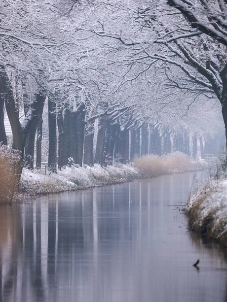 Cold mornings