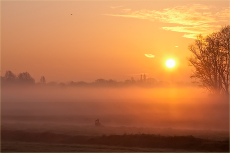 Tienhoven (NL) - 21 maart 2012 06:61