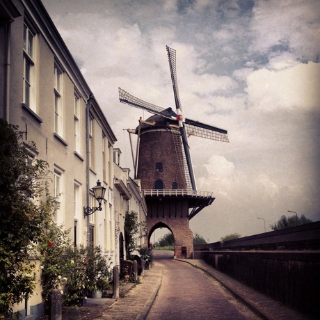 Love the old windmill