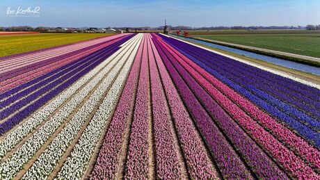 Kleurrijke lijnen 