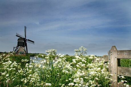 Molen