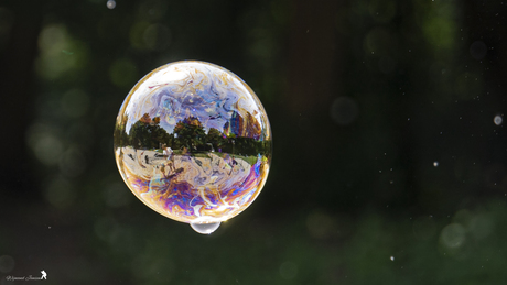 Soap bubble