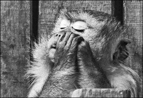 even wachten met de foto hoor...........................