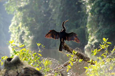 Costa Rica