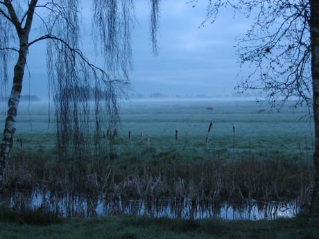 Wintermorgen