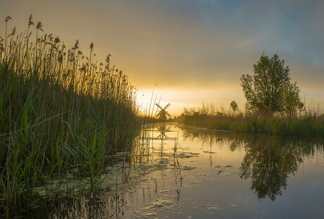 Noordermolen - Groningen