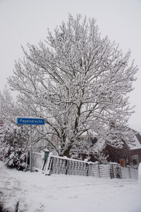 Sneeuw in Papendrecht