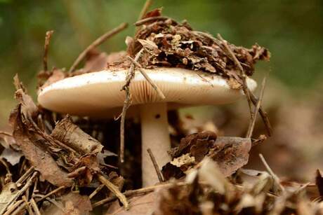 FB_IMG_1439054278330