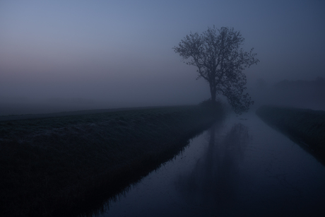 mistige ochtend