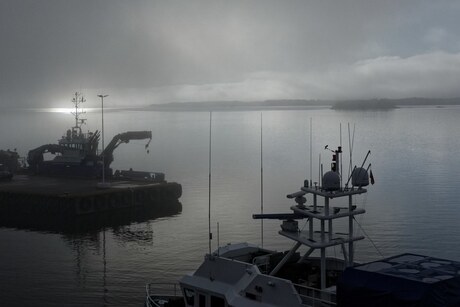 Mist in de morgen in Molde