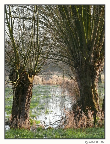 In de natuur...