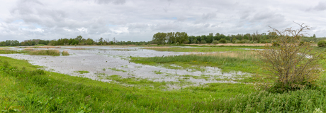 Kromslootpark  Almere