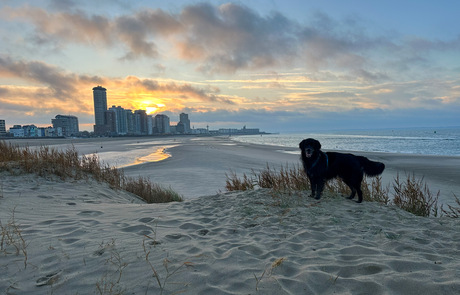 Lars geniet van de wandeling