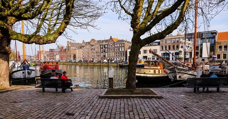prachtige zomerdag in Dordrecht