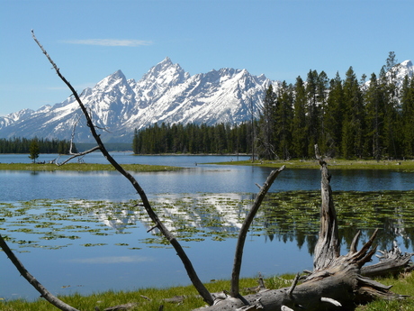 Grand Tetons