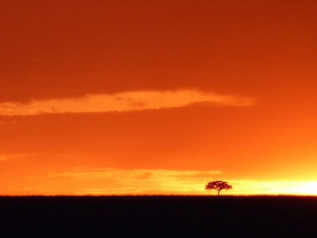 Zonsondergang in de Masai Mara