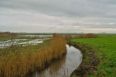 Polder Arkemheen