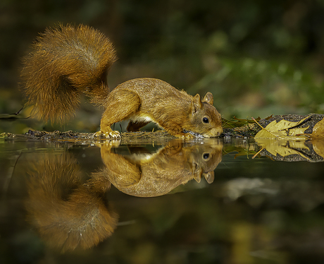 spiegeltje aan de wand