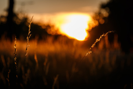 Tegenlicht bij zonsondergang