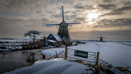 Spaarzam zonnestraaltje op witte wereld