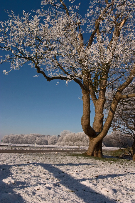 winter aan de ijssel