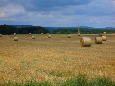 Graanveld in Duitsland