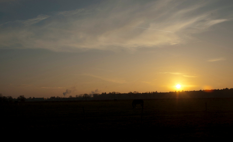 Koude winterse zonsondergang
