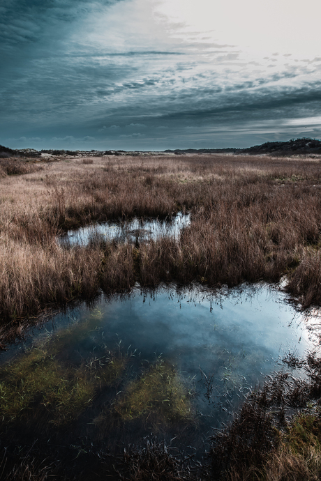 Saltmarsh Reflections