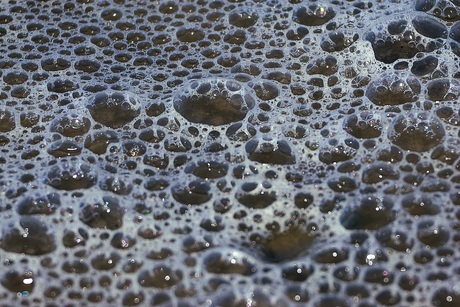 Bubbels