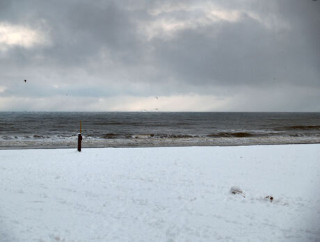 sneeuwstrand