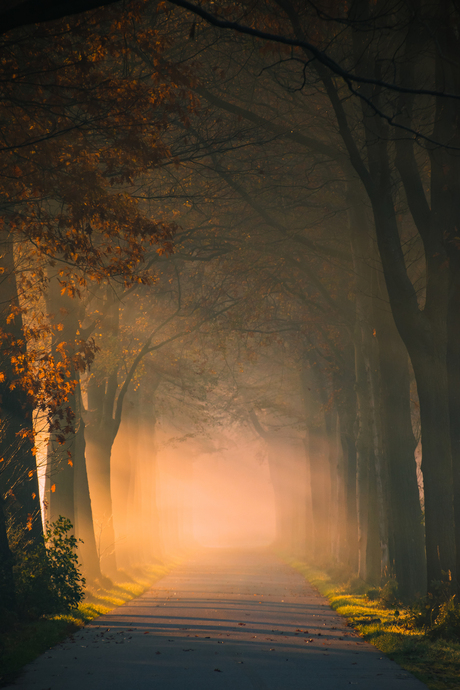 Zonnestralen in de herfst