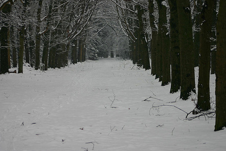 een witte kerst?