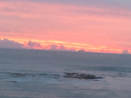 58F63A16-E844-4D69-9558-E7A304E59896