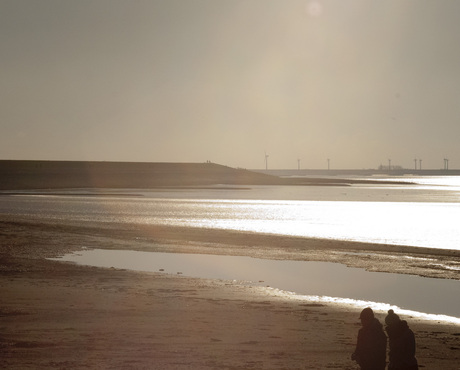 Strand Harlingen