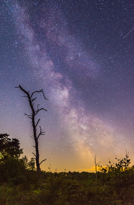 Melkweg/Milky way