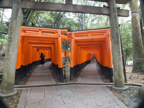 Torii infiniti