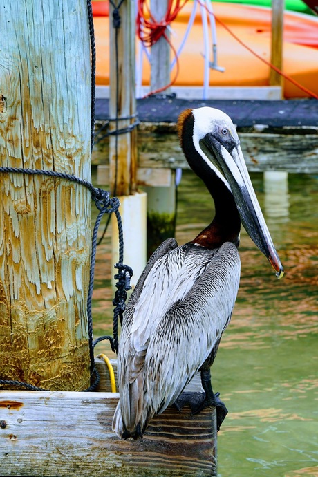 Key West