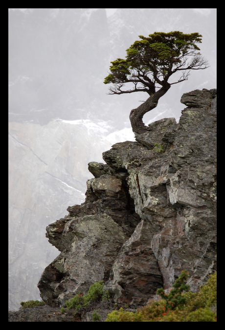 Torres del Paine NP