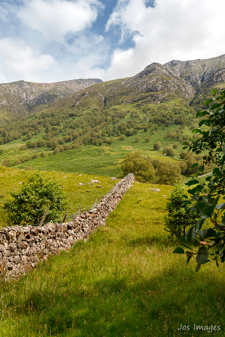 The Old Stone Wall