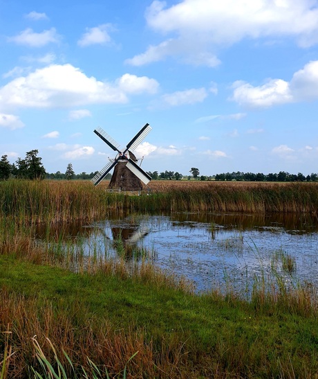 Mini molen