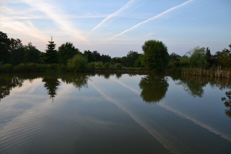 DSC_1900 (Large).JPG