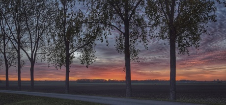 Zonsondergang in de polder.